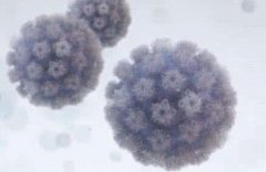 <b>hpv6ûҪ</b>