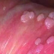 ʪิ·